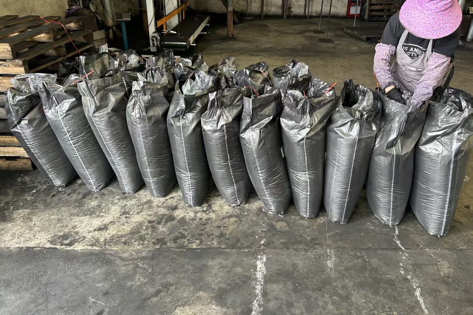 Rows of filled woven sacks at a packing site